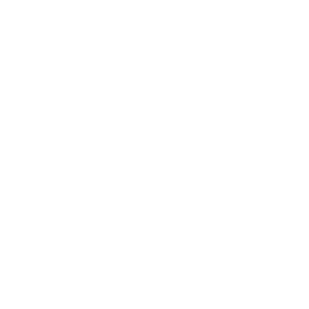 INTERVIEWERS